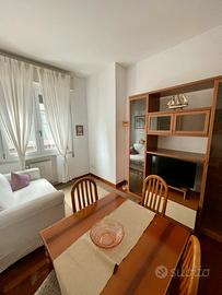 Appartamento (Zona Maggiolina)