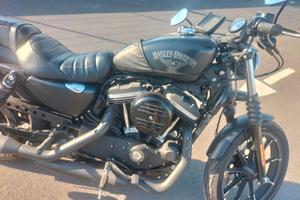 Harley Davidson 883 Iron