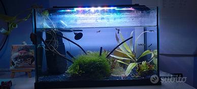 acquario 30 litri completo. luce.piante filtro