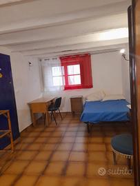 Stanza singola con bagno/doccia privato