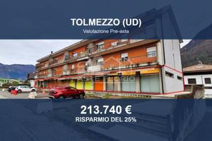 Immobile in asta di 395 m² a Tolmezzo