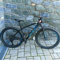 Specialized Epic