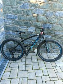 Specialized Epic