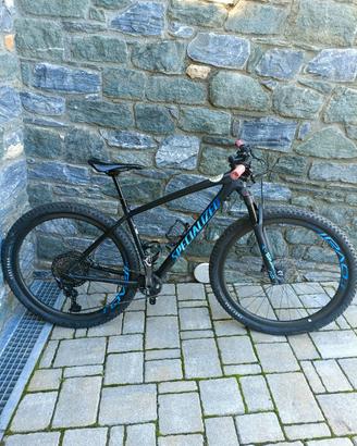 Specialized Epic