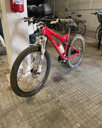 Specialized Stumpjumper
