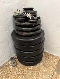 DISCHI PALESTRA - 10KG - BILANCIERE