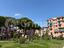 Immagine 20