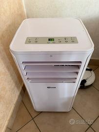 Pinguino climatizzatore