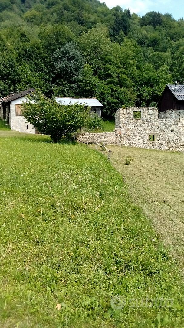 Terreno agricolo fabbricabile - Vista 4