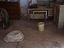 Immagine 14