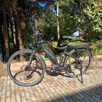 ebike SDURO Trekking 4.0