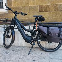 Riese e Muller Multicharger2 Mixte GT rohloff