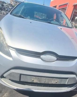 Ricambi Ford Fiesta 2010 1.4 TDCI F6JB
