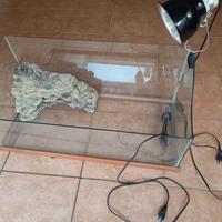 Acquario per Tartarughe 