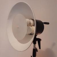 Luce continua daylight bowens