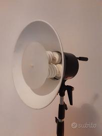 Luce continua daylight bowens