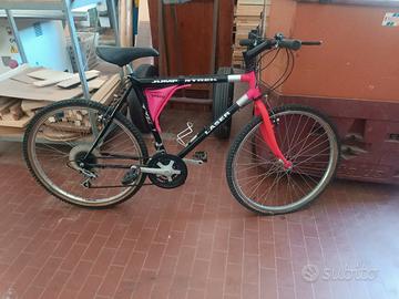 bici Mountain bike 