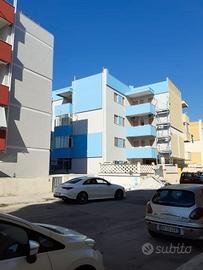 Appartamento disponibilita' immediata