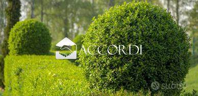 Rif.MDPX99_9| casa ind. conegliano