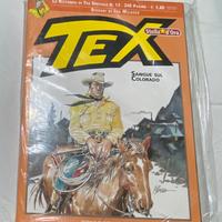 Fumetto Tex n. 13 Sangue sul Colorado