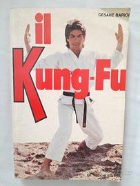 Kung Fu