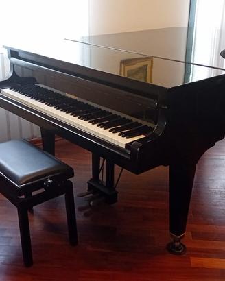 Pianoforte a Coda Diapason D211