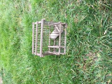 Gabbia uccellini vecchia