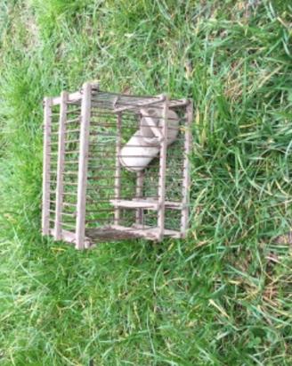 Gabbia uccellini vecchia