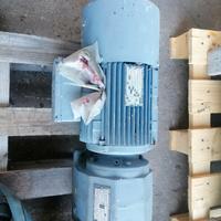 Motoriduttore a ingranaggi