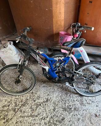Lotto Bici