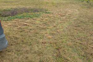 Terreno 2420 mq Borgo Rivo Terni