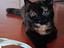 Immagine 1