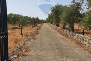 Terreno - Priolo Gargallo