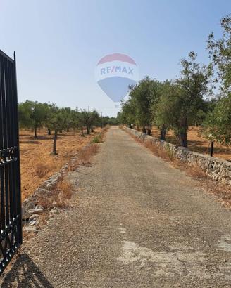 Terreno - Priolo Gargallo