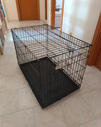 Kennel
