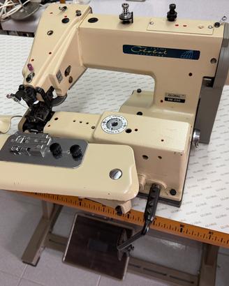 Macchina da cucire Global  BM-250