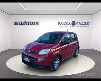 FIAT Panda My24 1.0 70cv Hybrid Panda