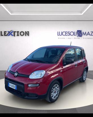 FIAT Panda My24 1.0 70cv Hybrid Panda