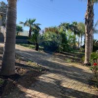 Villa a schiera - Belpasso