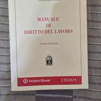 Manuale di Diritto del Lavoro