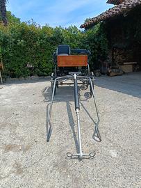 Carrozza