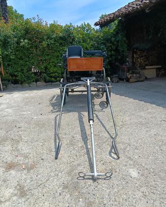 Carrozza