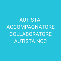 Autista accompagnatore collaboratore ncc