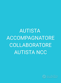 Autista accompagnatore collaboratore ncc