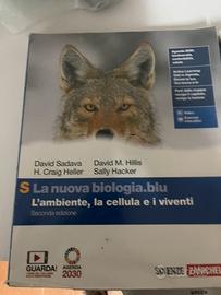 Libri superiore