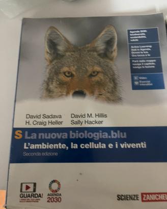 Libri superiore