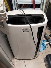 pinguino climatizzatore portatile