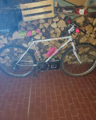 mountain bike marca Olmo 