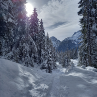 Vacanze sulla neve a Sappada Dolomiti