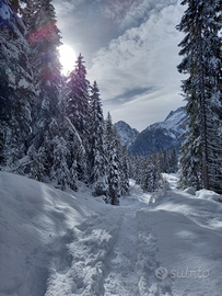 Vacanze sulla neve a Sappada Dolomiti